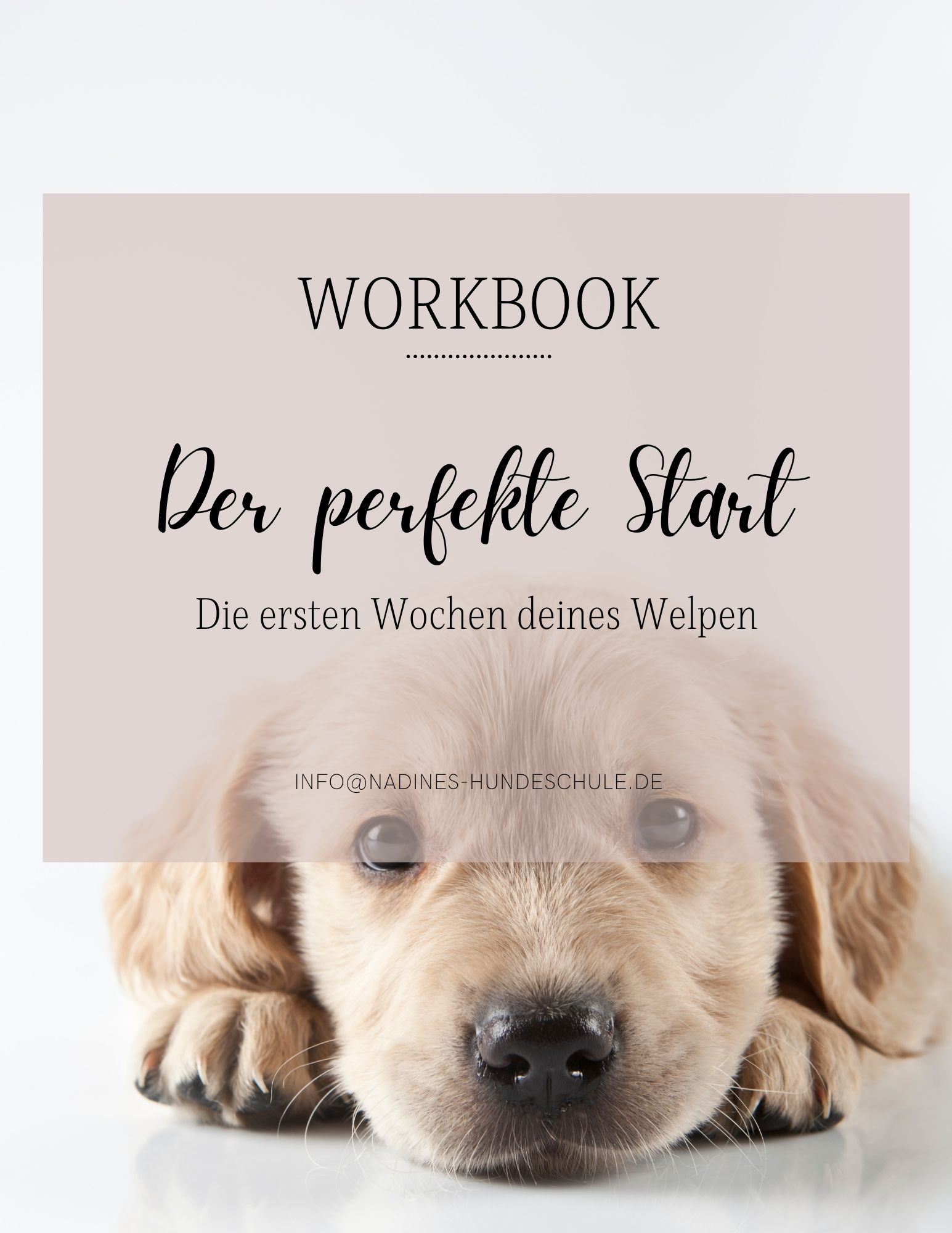 Workbook Der perfekte Start Cover